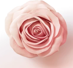 Miracles Lift & Volume Haarverdickende Pflegespülung -hochwertige Pflegeprodukte MAM 10416594 SHOP IMAGE 1.4