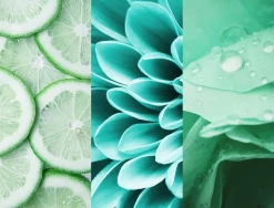 Deodorant Spray N°7 Fresh Lime -hochwertige Pflegeprodukte MAM 7311477 SHOP IMAGE 1.4