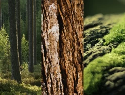 Anti-Transpirant Spray N°8 Wild Oak -hochwertige Pflegeprodukte MAM 7311501 SHOP IMAGE 1.4