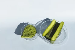 Weleda Feigenkaktus 24h Feuchtigkeitscreme -hochwertige Pflegeprodukte MAM 7460228 SHOP IMAGE 1.4