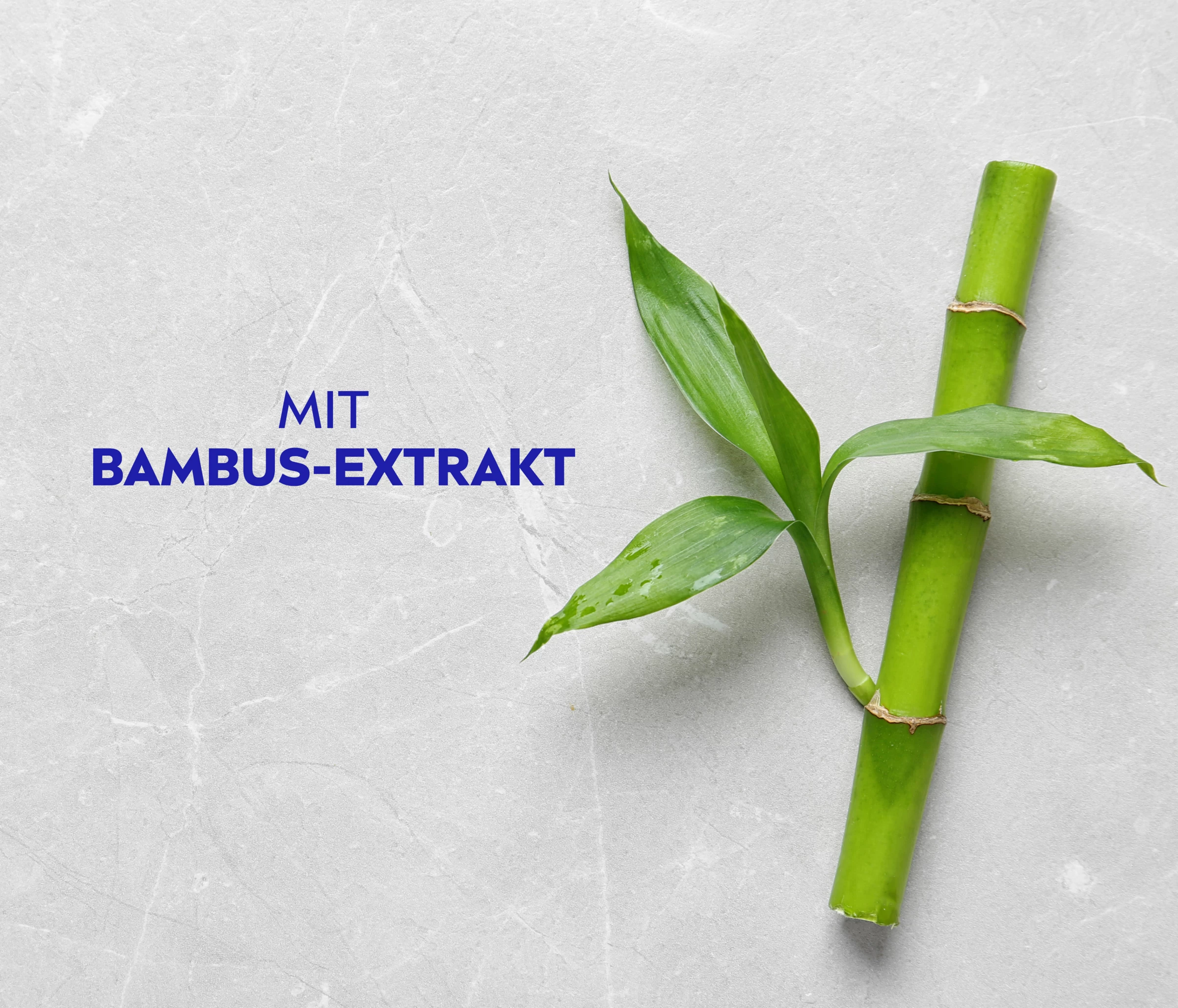 NIVEA Volumen & Kraft PH-Balance Shampoo 8 NIVEA Volumen & Kraft PH-Balance Shampoo – Bild 6