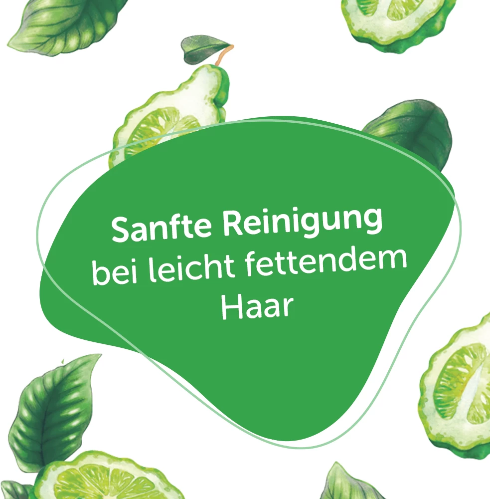 Festes Shampoo Bio-Bergamotte & Bio-Olive 6 Festes Shampoo Bio-Bergamotte & Bio-Olive – Bild 4