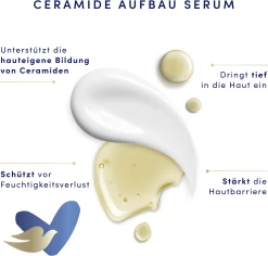 DOVE Body Love One Cream Regenerierende Pflege 13 DOVE Body Love One Cream Regenerierende Pflege -hochwertige Pflegeprodukte MAM 8530457 SHOP IMAGE 1.4