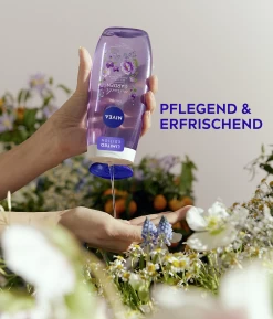 NIVEA Pflegedusche Miracle GARDEN V Eilchen & Pfingstrosen Duft 9 NIVEA Pflegedusche Miracle GARDEN V Eilchen & Pfingstrosen Duft -hochwertige Pflegeprodukte MAM 8543424 SHOP IMAGE 1.4