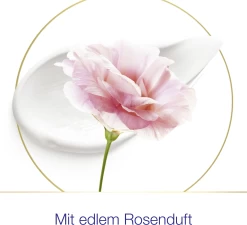 DOVE Deo Spray Rosenduft 13 DOVE Deo Spray Rosenduft -hochwertige Pflegeprodukte MAM 8544757 SHOP IMAGE 1.4