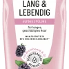 Lang & Lebendig Aufbau Spülung