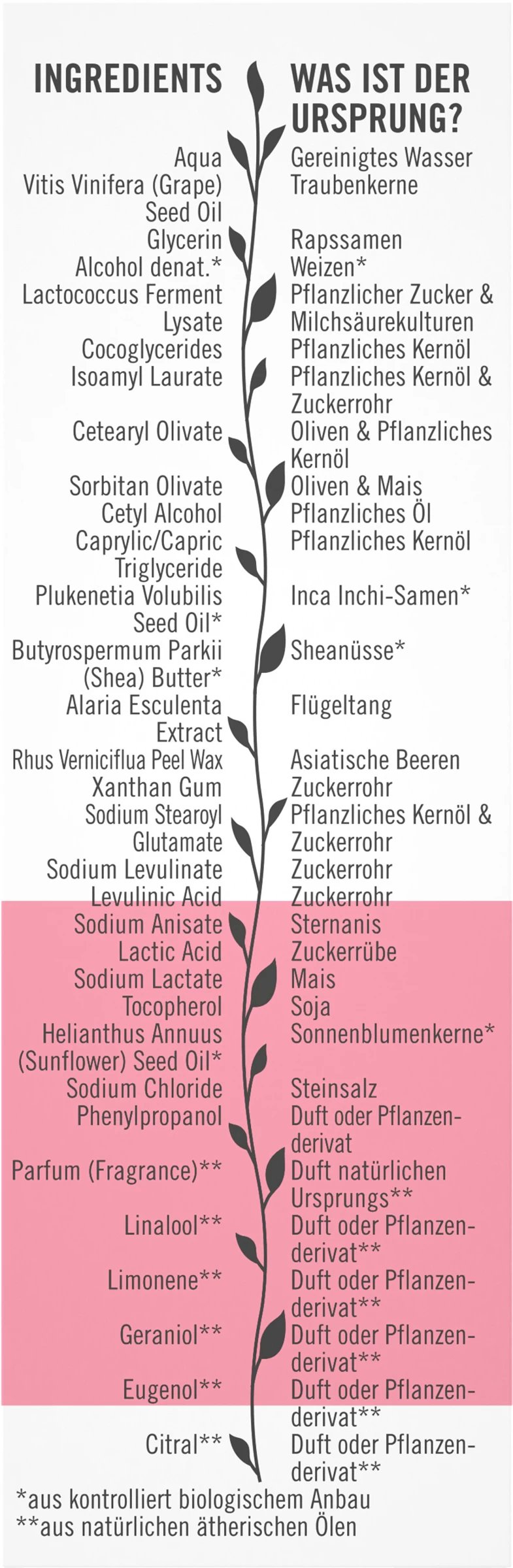 Sante Schützende 24H Feuchtigkeitscreme 5 Sante Schützende 24H Feuchtigkeitscreme – Bild 3